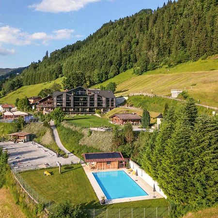 Weitenmoos Panorama Apartments Санкт Йохан им Понгау Екстериор снимка